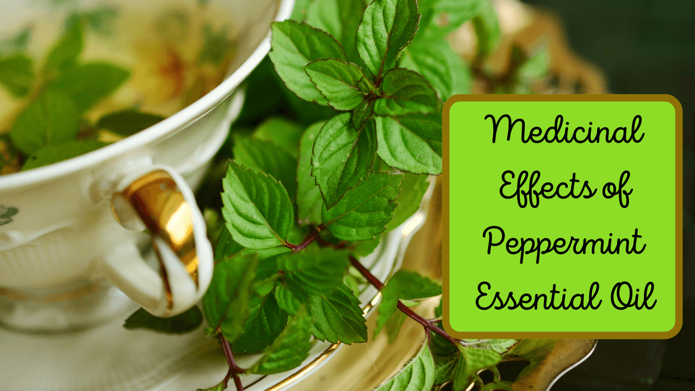 Peppermint Essential Oil Essential for every Medicine Cabinet
