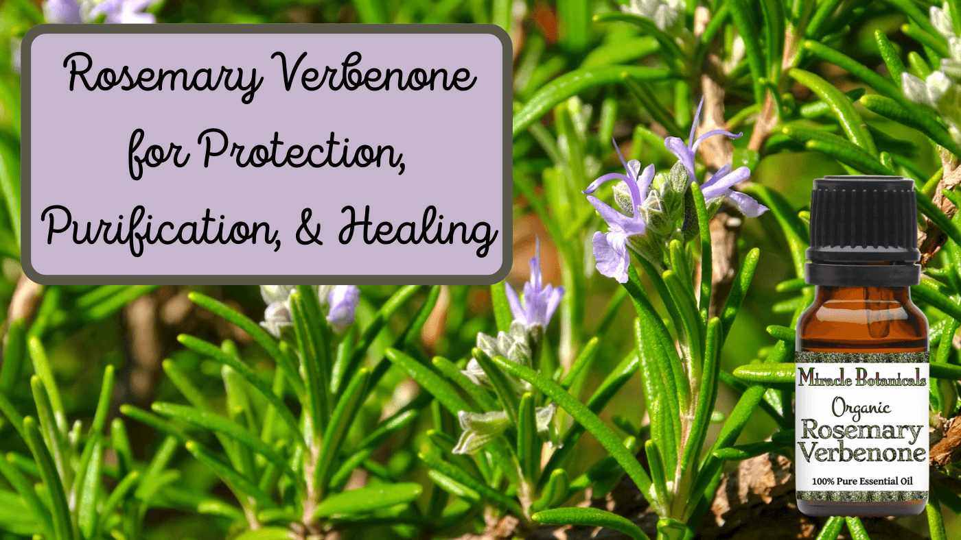 Rosemary Verbenone: Gentle Protection For Your Hearth and Health.