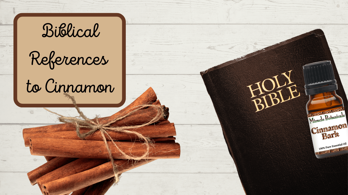 Spiritual Meaning of Cinnamon in the Bible