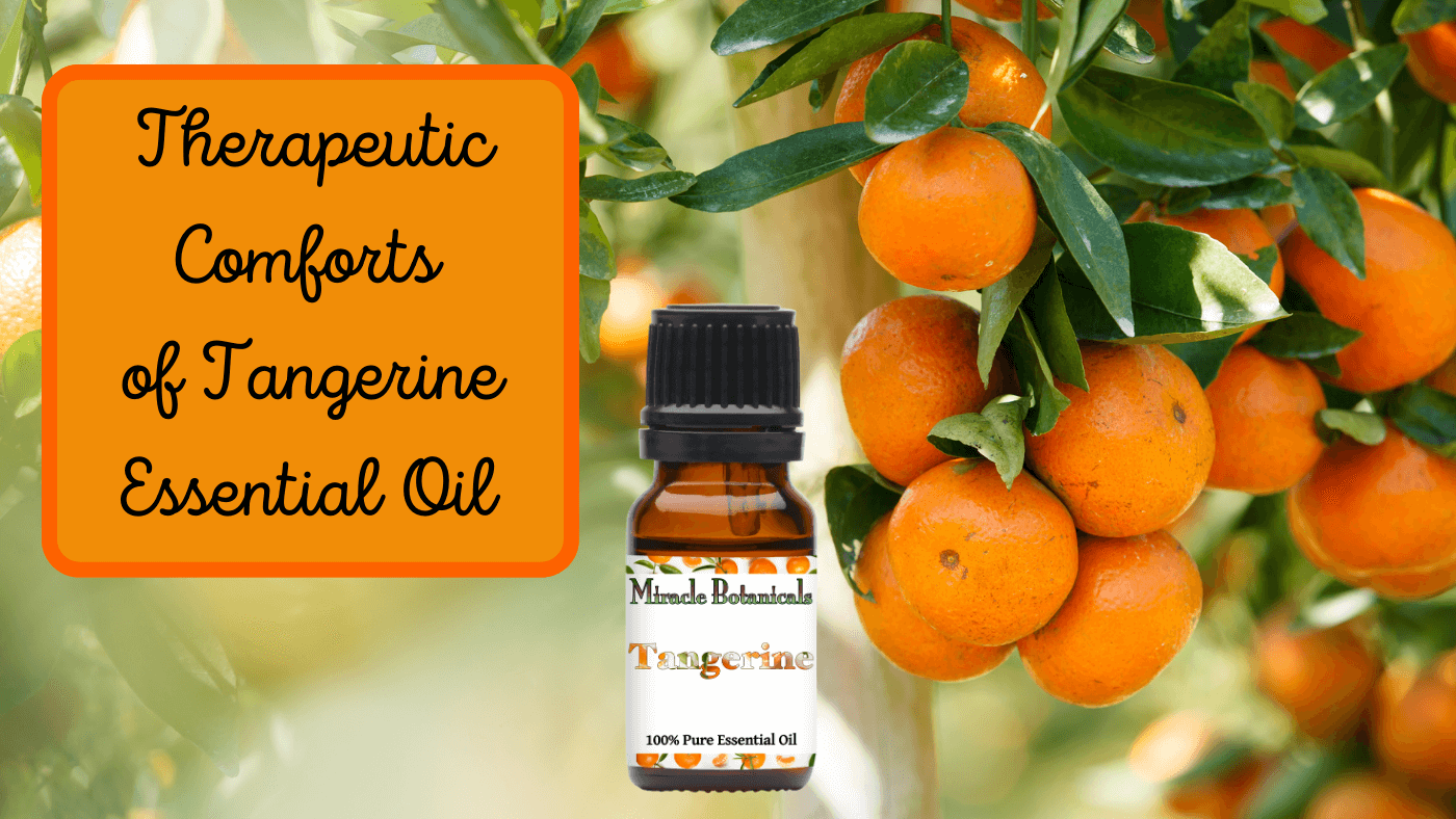 Therapeutic Benefits of Tangerine Essential Oil