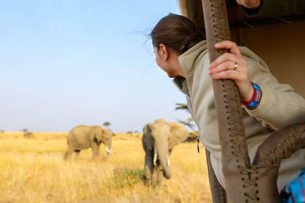 Woman on safari watching the elephants behind her